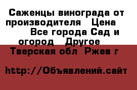 Саженцы винограда от производителя › Цена ­ 800 - Все города Сад и огород » Другое   . Тверская обл.,Ржев г.